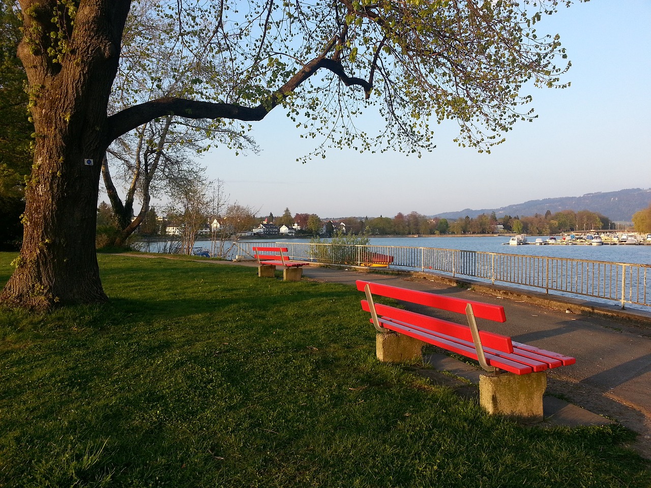 霍芬海姆最 霍芬海姆最