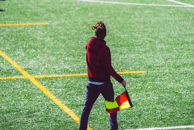 这个小小的 这个小小的