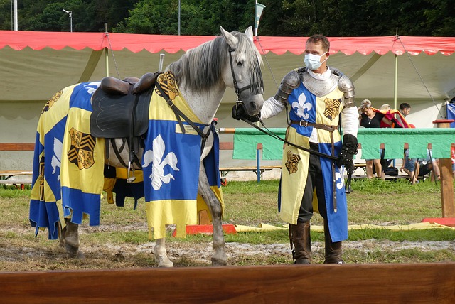 共同参与的 共同参与的