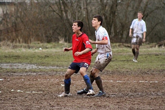 正如所有运 正如所有运