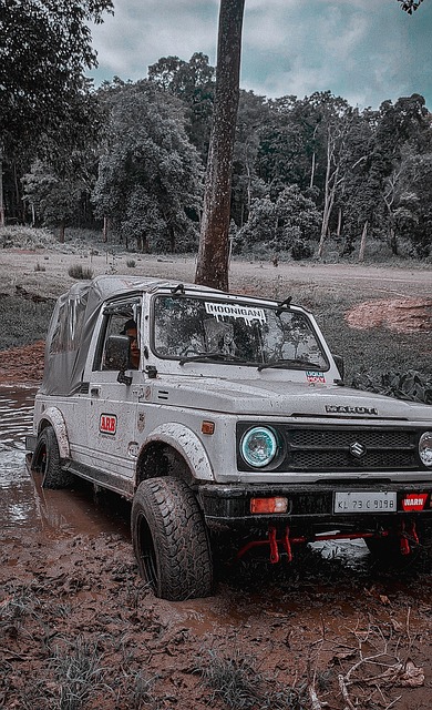 竞争对手的 竞争对手的