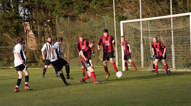 上书写更多 上书写更多