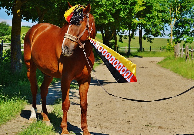 这样的管理 这样的管理